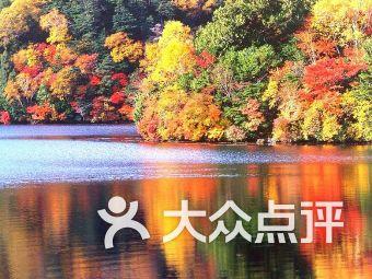 奖金810万!郑钦文创造新历史,21岁赢得未来,下一个李娜她来了