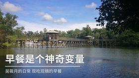 索尼z3双清是什么意思游戏画面
