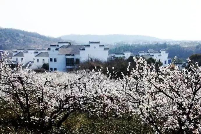 泰坦黎明