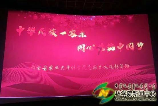 小猫钓鱼开船版最新版下载