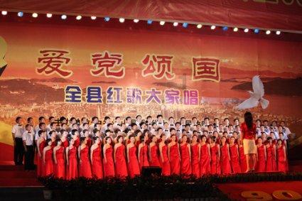 宾川：万亩贡菜喜丰收