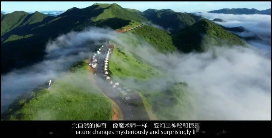 射击红色鸟