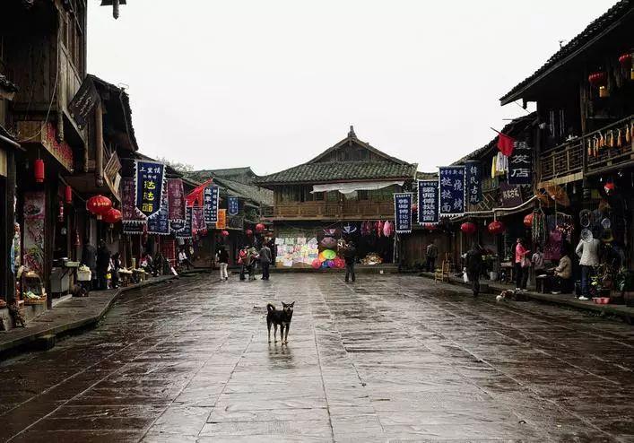 今晚开播!央视24集大剧空降!我难掩激动,终于有像样央视剧了