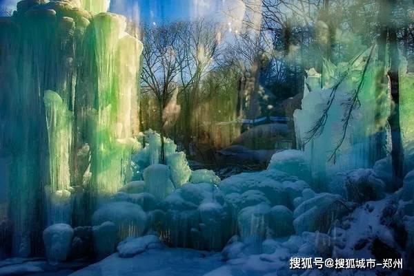 铁马鞭冬天黄叶掉叶怎么回事？游戏画面